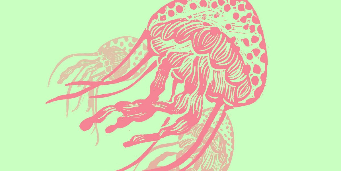 méduses en linogravure