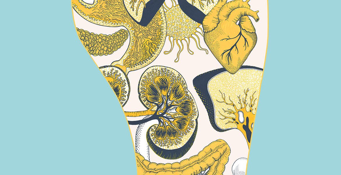 Affiche de reflexologie dessiné à la main au posca, dessin scientifique